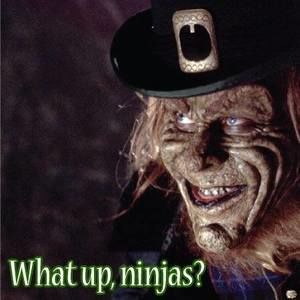 Meet your Posher, Larry